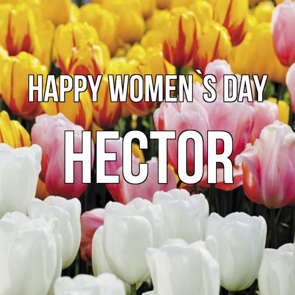 Greetings card с именем, Hector happy women`s day разноцветные цветы Greetings with text for free download 
